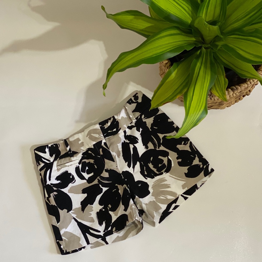 Loft The Riviera Short
